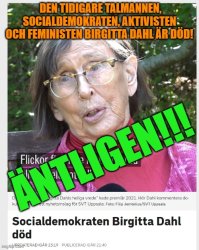 Socialdemokraten Birgitta Dahl död Uppdaterad igår 23:19Publicer Meme Template