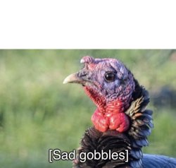 Sad gobbles Meme Template