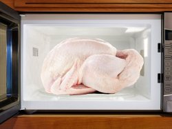 Turkey in microwave Meme Template