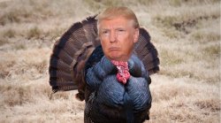 trump turkey Meme Template