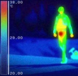 Infrared Boner Meme Template