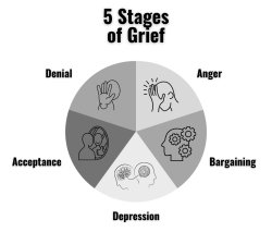 5 stages of grief Meme Template