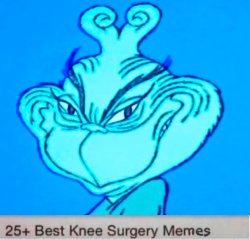 blue grinch 1966 Meme Template