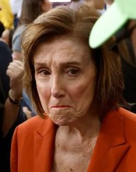 pelosi cry Meme Template