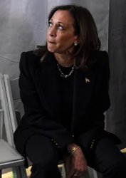 Kamala sad Meme Template