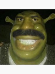 Shawtys Meme Template