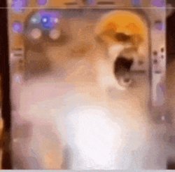 Tweaking Meme Template