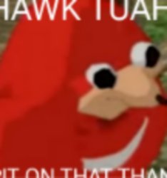 Hawk tuah Meme Template