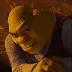 Shrek looking Meme Template