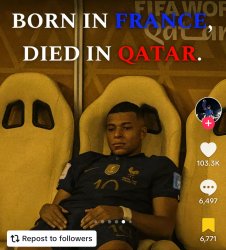 BORN IN FRANCE DIED IN QATAR Meme Template