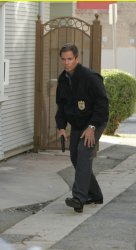 anthony dinozzo Meme Template