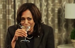 Kamala drunk on martinis 2 Meme Template