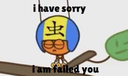 I Have Sorry I Am Failed You Meme Template