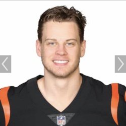 Bengals suck Meme Template