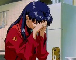 misato frustrated Meme Template