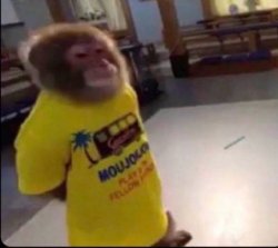 Funny Tshirt Monkey Meme Template