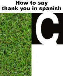 How to say thank you in spanish Meme Template