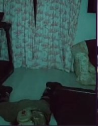 AFK dead temp ig. Meme Template