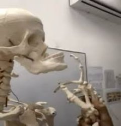 Thinking Skeleton Meme Template