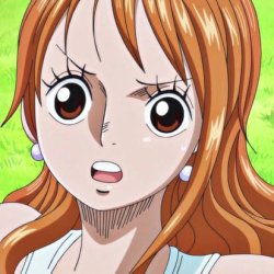 nami Meme Template