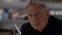 agent gibbs Meme Template