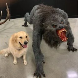 Golden Retriever and Demon Dog Meme Template