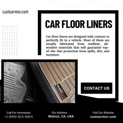 Car Floor Liners Meme Template