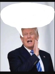 Pres. Trump w/ caption bubble Meme Template