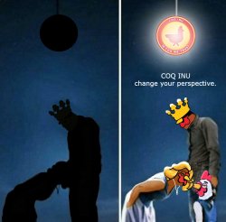 COQINU perspective Meme Template