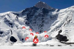 COQINU avalanche Meme Template