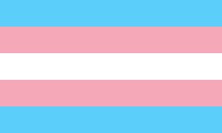 Trans flag Meme Template