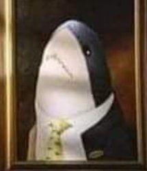 Shark at life Meme Template