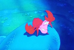 sebastian on ariel's tail Meme Template