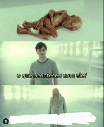 Bixo Morto de Harry Potter Meme Template