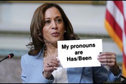 Kamala’s pronouns Meme Template