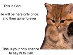 hi carl Meme Template
