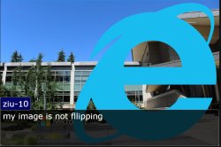 my image is not flipping Meme Template