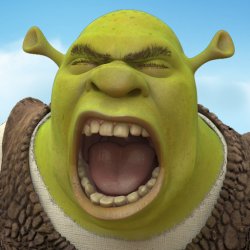 ANGRY SHREK Meme Template