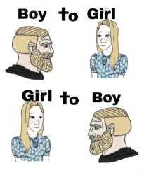 Boys to Girls VS Girls to Boys Meme Template