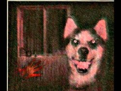 Smiledog Meme Template