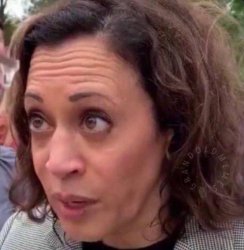 Kamala Wasserman Schultz Meme Template