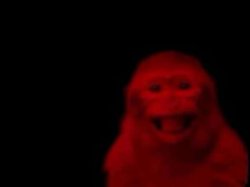 THE RED MONKEY Meme Template