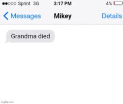 grandma died (add your reaction image) Meme Template