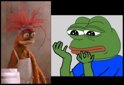 Pepe Prawn or Pepe Frog Meme Template