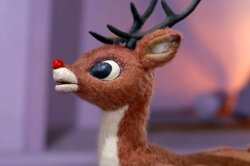 Angry Rudolph Meme Template