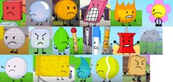 BFDI season 1 contestants being angry Meme Template