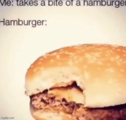 Hamburger Meme Template
