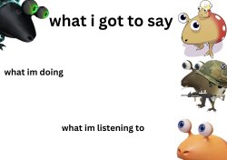 my custom announcement page Meme Template