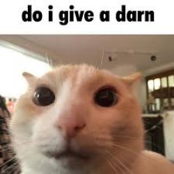 do i give a darn Meme Template