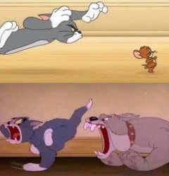 spike chasing tom chasing jerry Meme Template